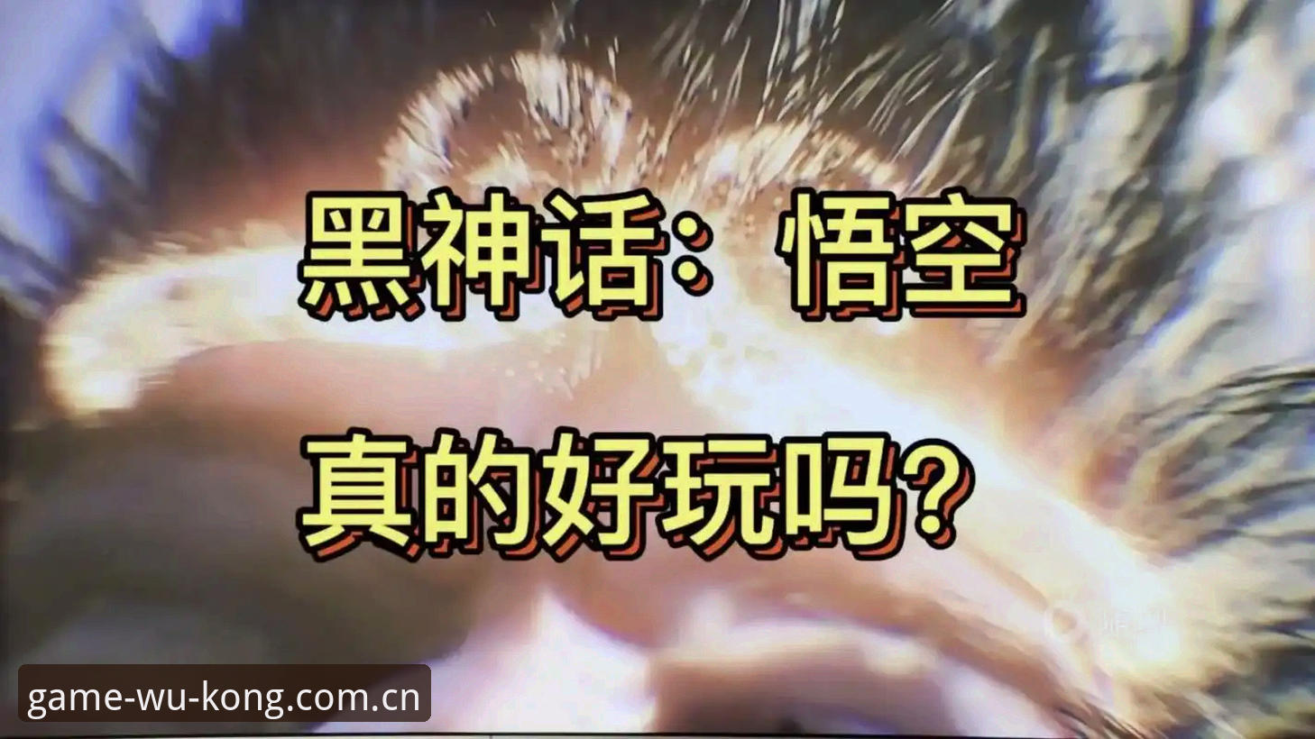 数据型用户如何正确打开悟空体育CN站安卓版：一个行业观察者的体验与趋势解读
